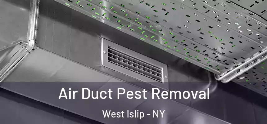 Air Duct Pest Removal West Islip - NY