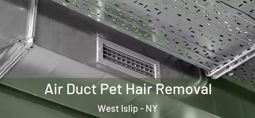 Air Duct Pet Hair Removal West Islip - NY