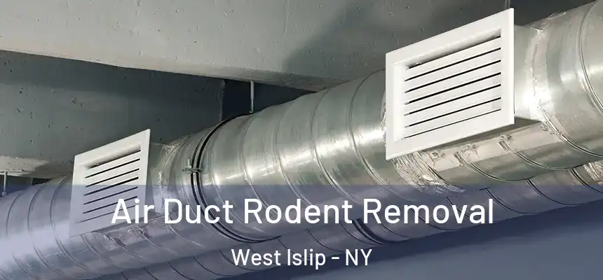 Air Duct Rodent Removal West Islip - NY