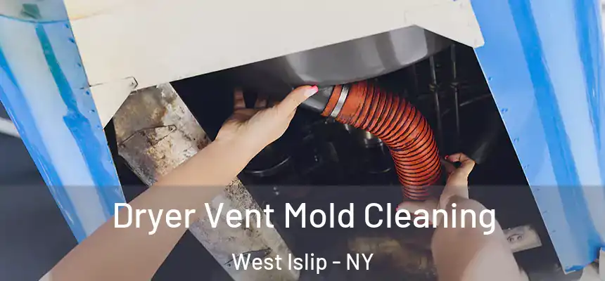  Dryer Vent Mold Cleaning West Islip - NY