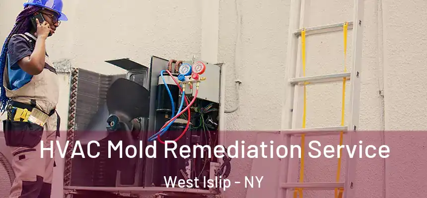 HVAC Mold Remediation Service West Islip - NY