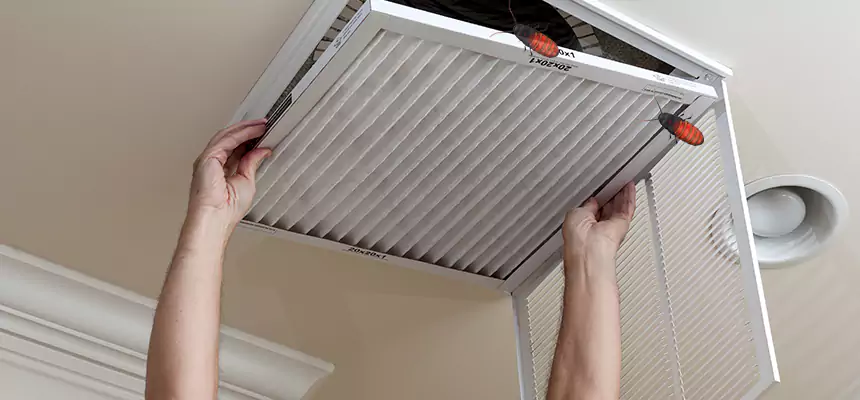 Preventive Cockroach-Proofing for Ducts in West Islip