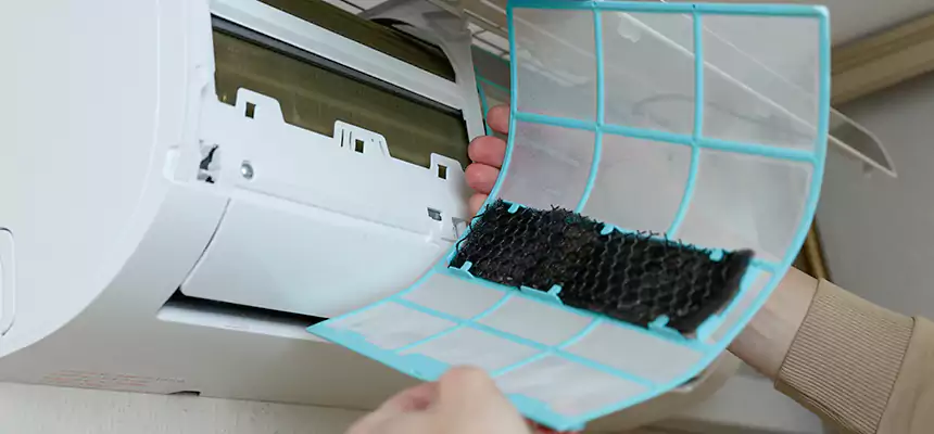 Gentle Ductwork Odor-Control Pet Dander Duct Cleaning in West Islip, NY