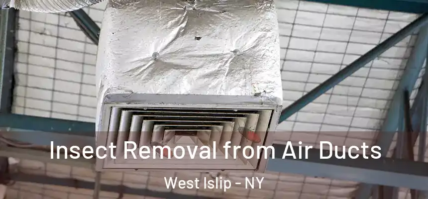 Insect Removal from Air Ducts West Islip - NY