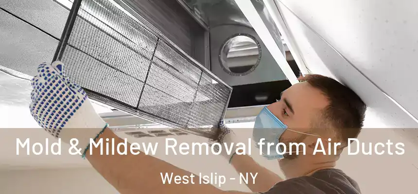  Mold & Mildew Removal from Air Ducts West Islip - NY