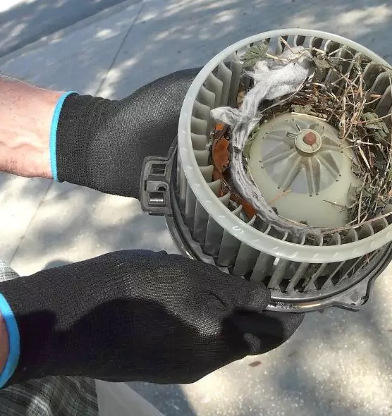 About Air Duct Mice Removal in West Islip, NY