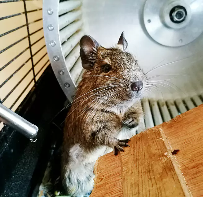 Why Homeowners & Businesses Trust Us West Islip, NY