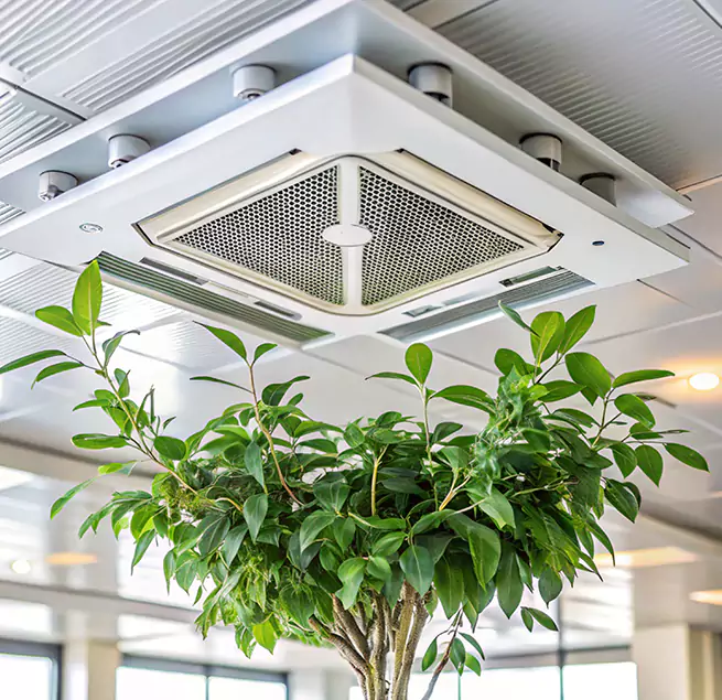 Why Homeowners & Businesses Trust Us in West Islip, NY?