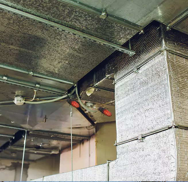 Why Homeowners & Businesses Trust Us West Islip, NY?